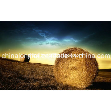 High Tenacity Plastic Agriculture Grass Baler Twine